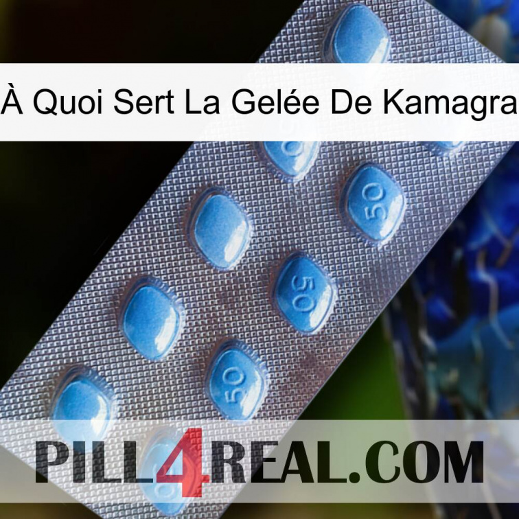 À Quoi Sert La Gelée De Kamagra viagra3